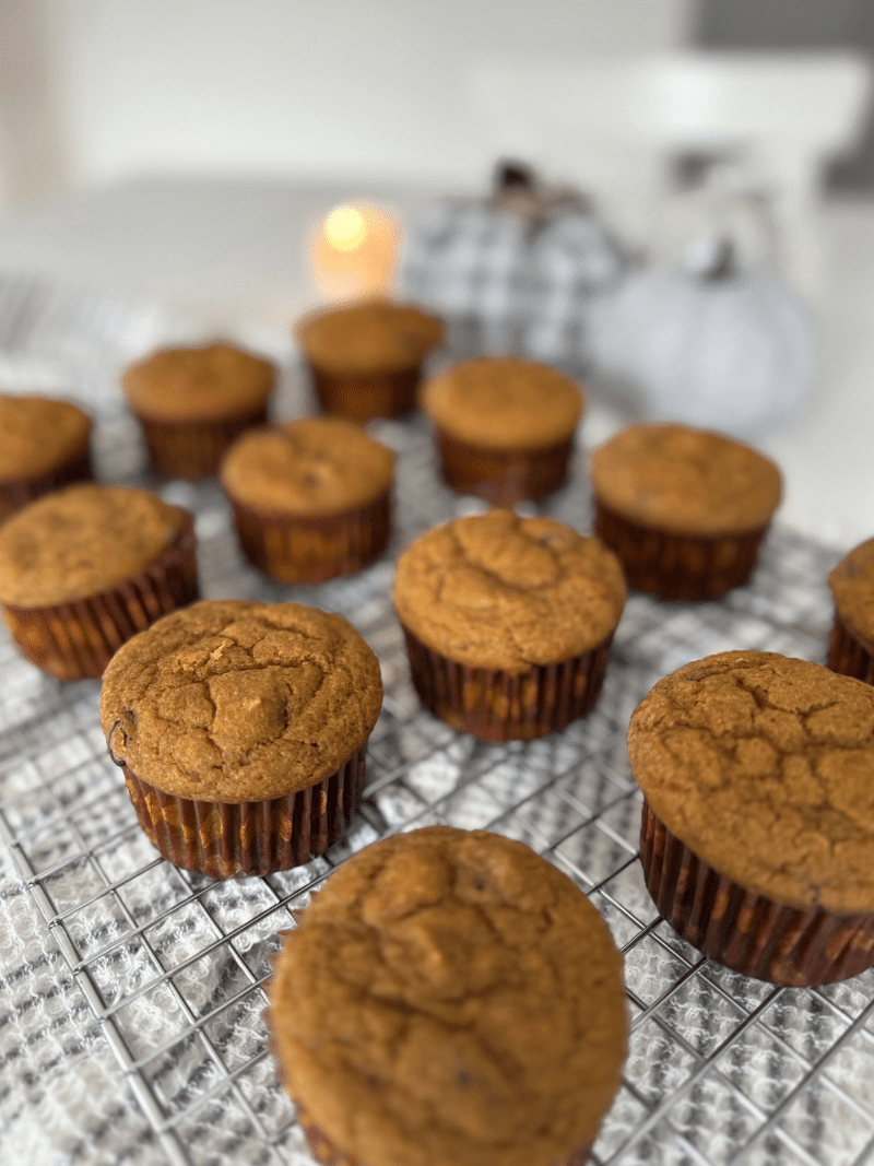 Muffins à la citrouille et pépites de chocolat